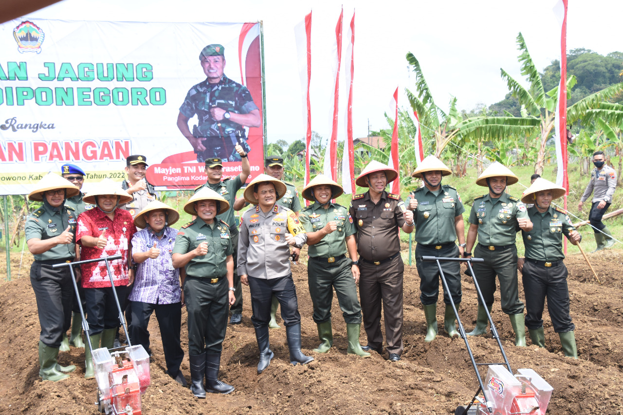 Dukung Ketahanan Pangan, Pangdam IV/Diponegoro Tanam Jagung Di Bantir Sumowono